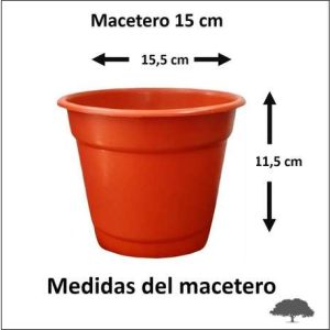 MACETERO N15 RIGIDO