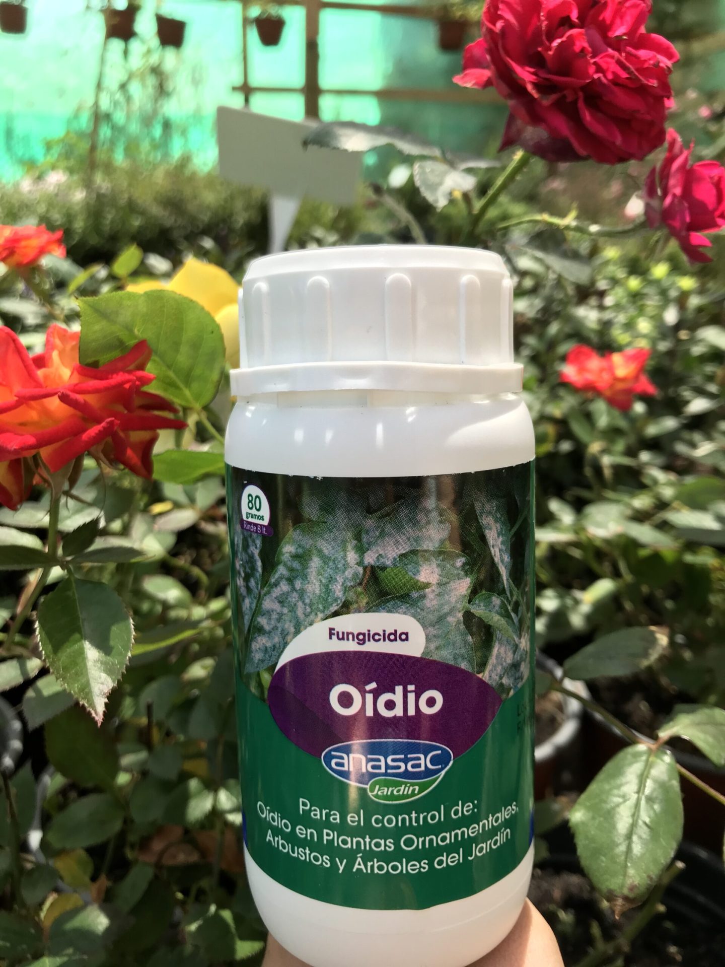 OÍDIO FUNGICIDA 80GR – Vivero de los Reyes
