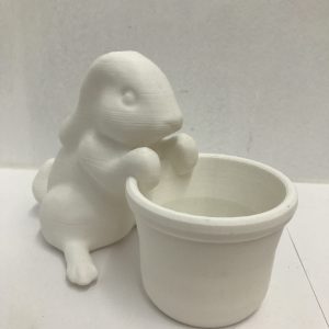 MACETERO RABBIT