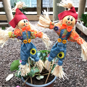 Espantapájaros