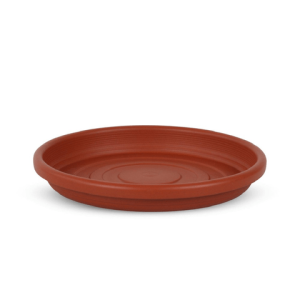 PLATO N35