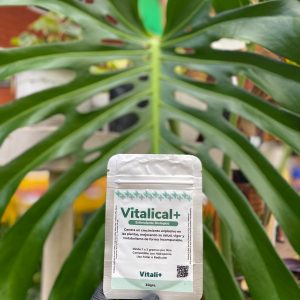 VITALICAL