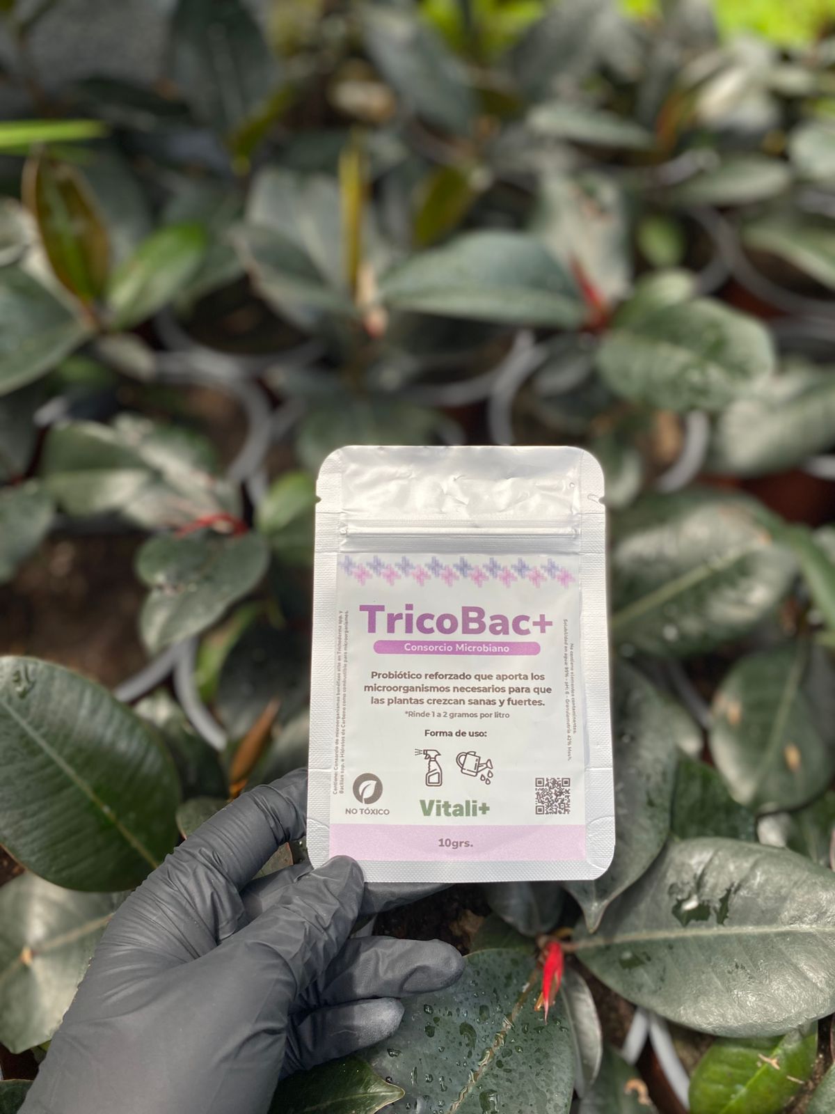 TRICOBAC