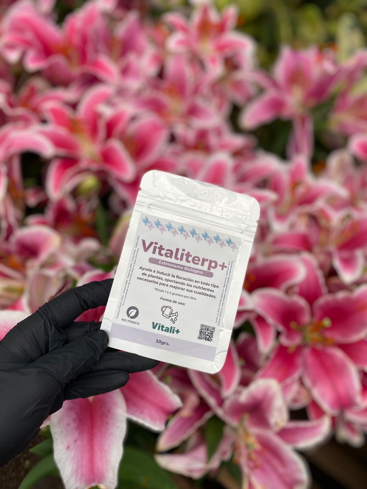 VITALITEPS +