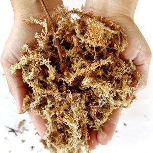 MUSGO SPHAGNUM 250GR