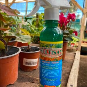 MULTISAN SPRAY 250 CC